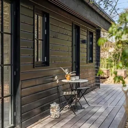 Hébergement de vacances Exceptional Architect Designed Near And Forest